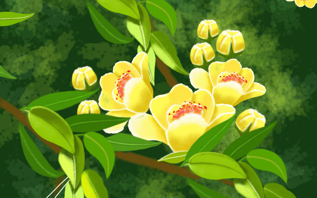 Áo dài Việt Nam